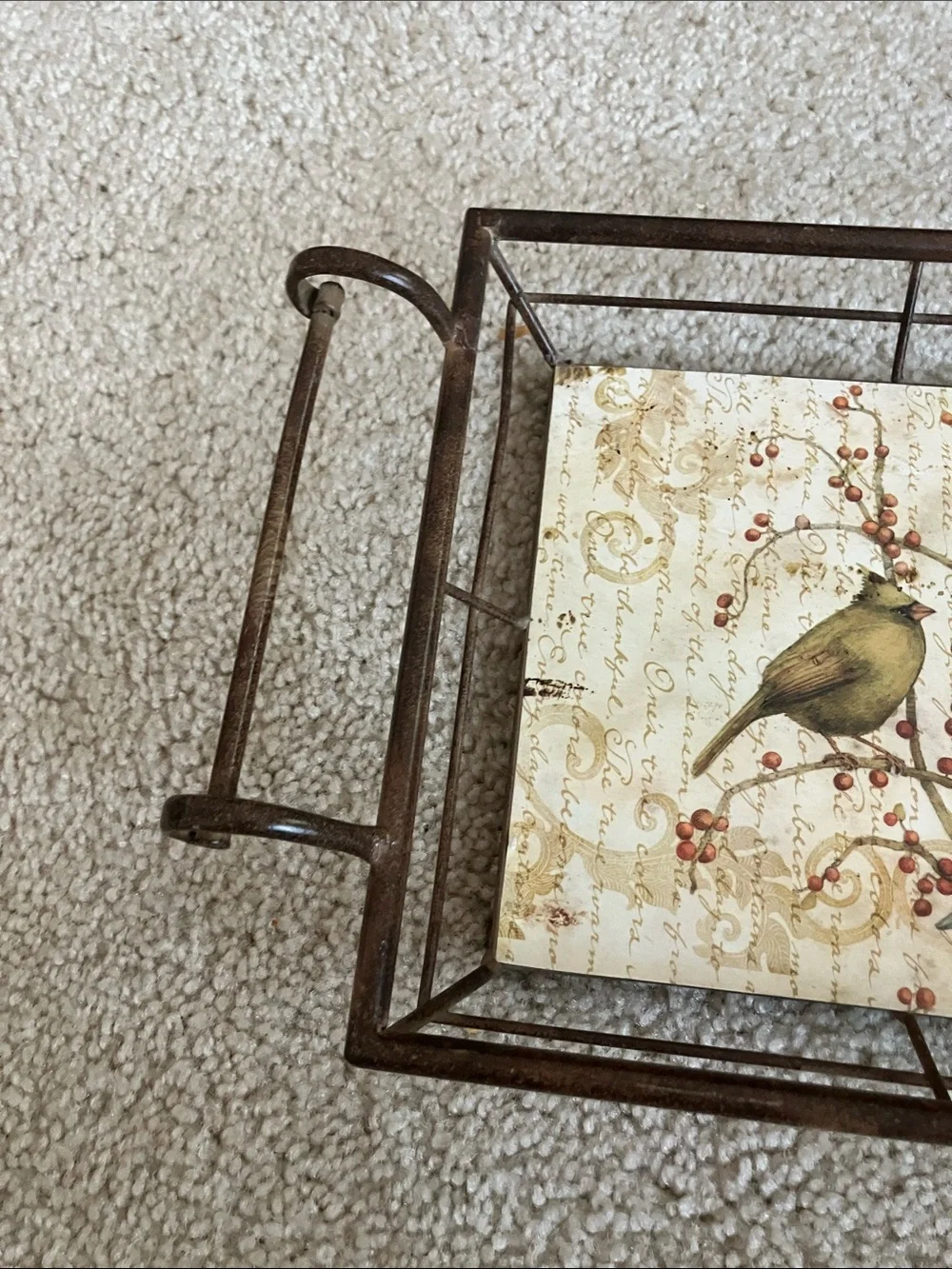 Tim Coffey Birds On Fruit Tree Tin Serving Tray Wall Decoration w/ Handles